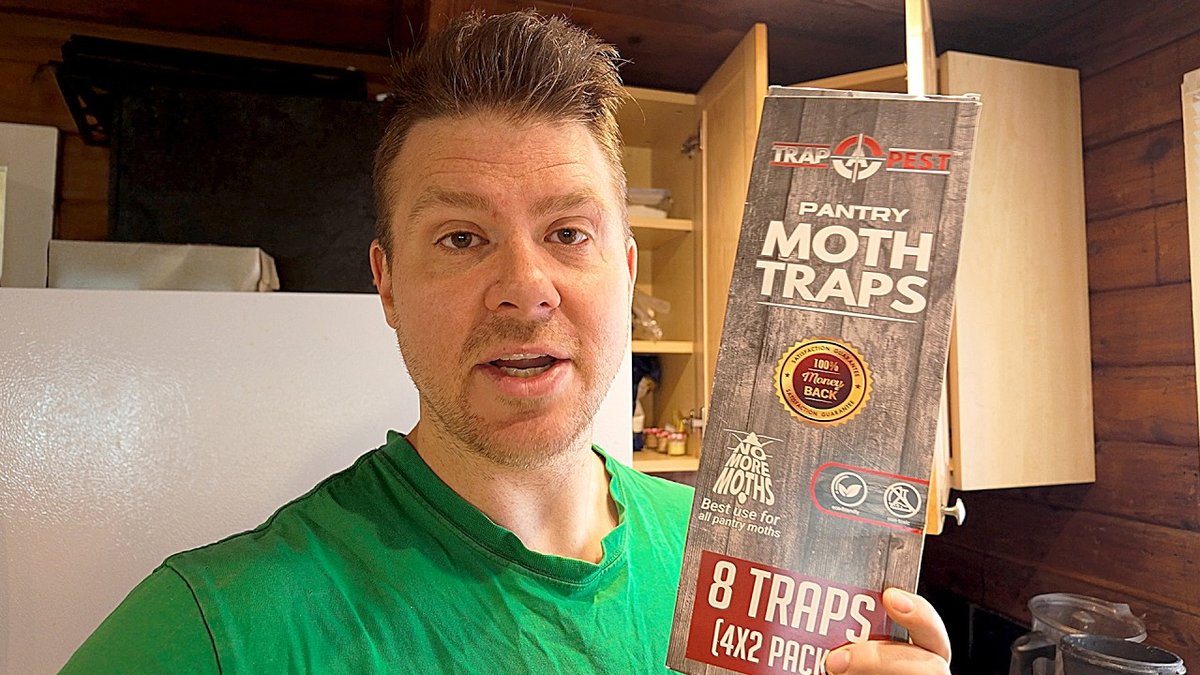 Introduction to Inata Moths and Their Unique Traits